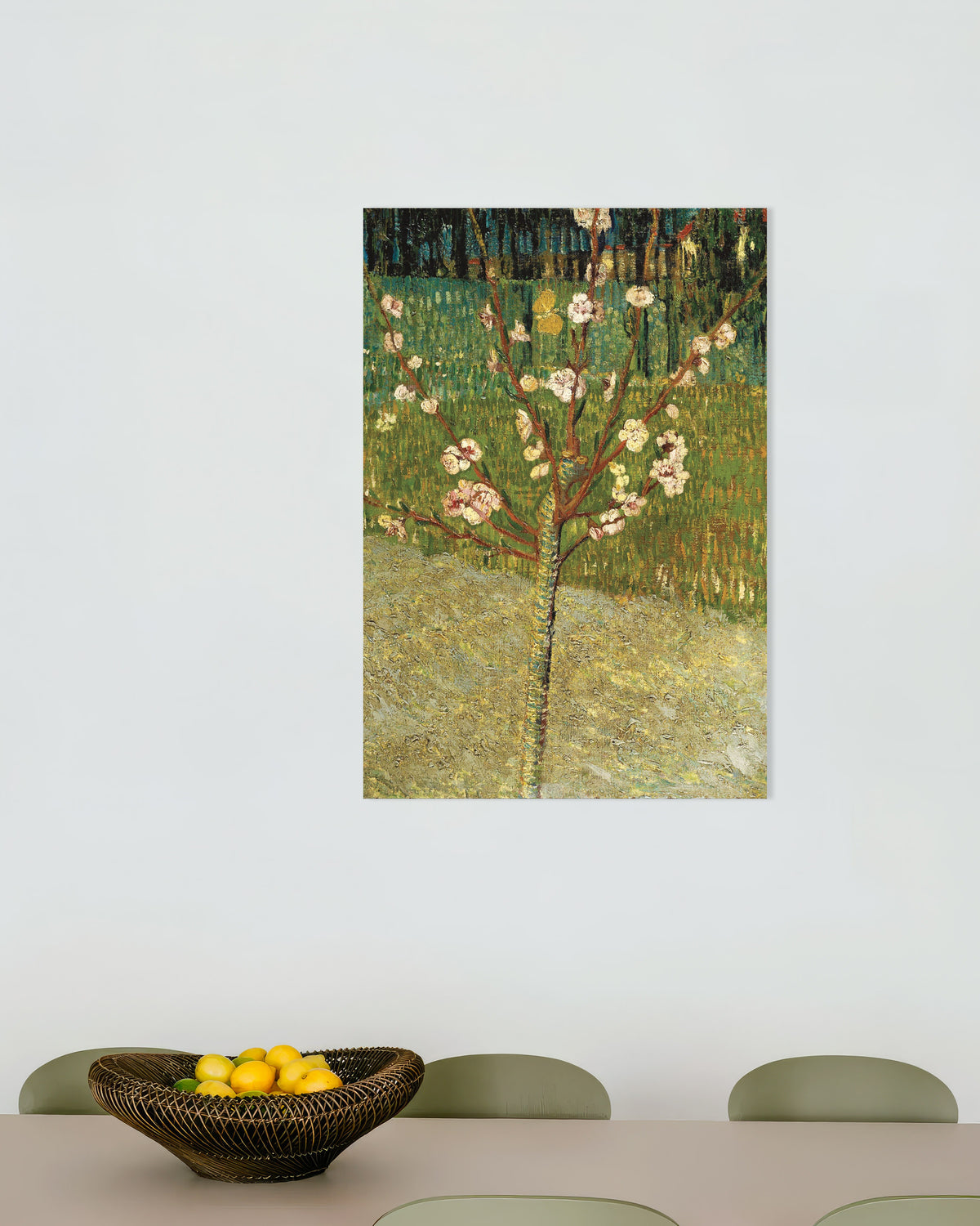 Poster de Amendoeira em Flor (1888), de Vincent van Gogh