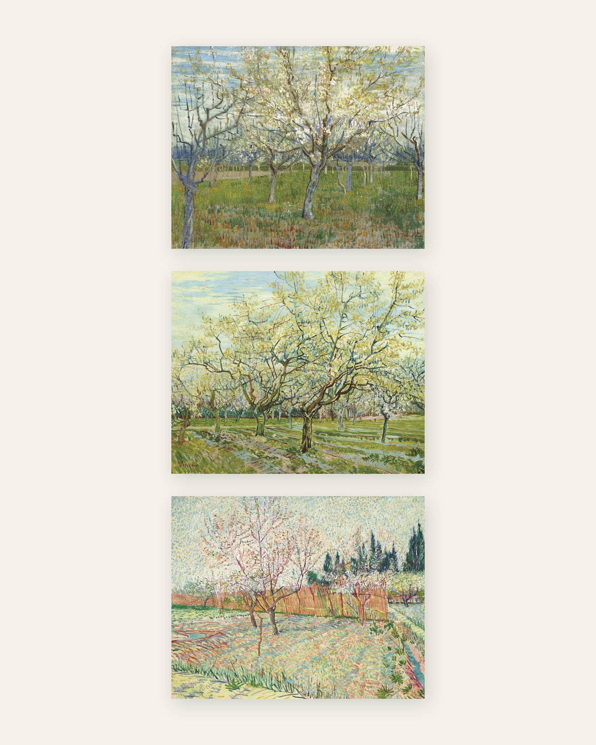 Posters de Van Gogh, pomares em flor, conjunto de 3: rosa, branco e com ciprestes, sem moldura
