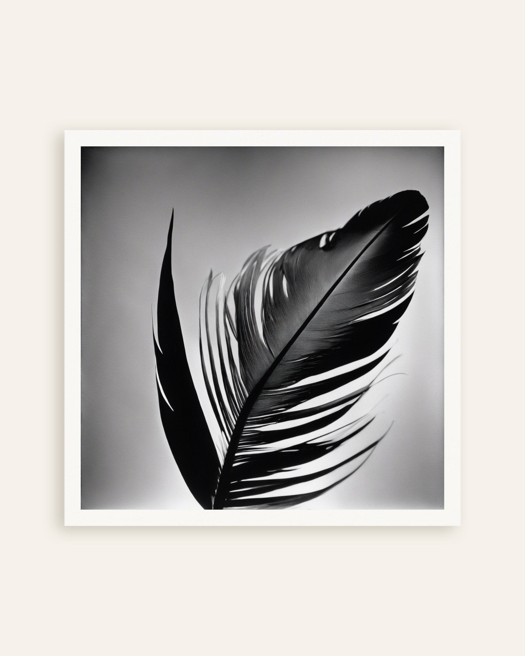 Poster of Abstract photographs based on elements of nature and geometric patterns, Feather - Poster, thumbnail