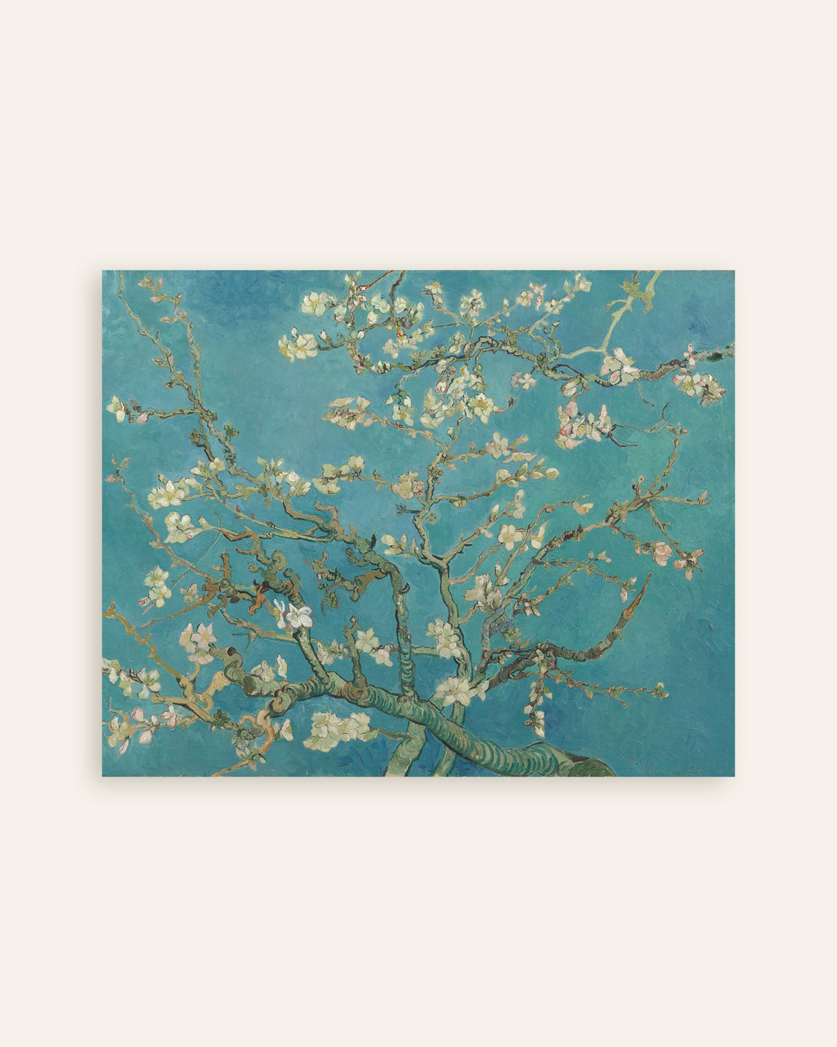 Poster de Amendoeira em Flor (1890), de Vincent van Gogh, em miniatura