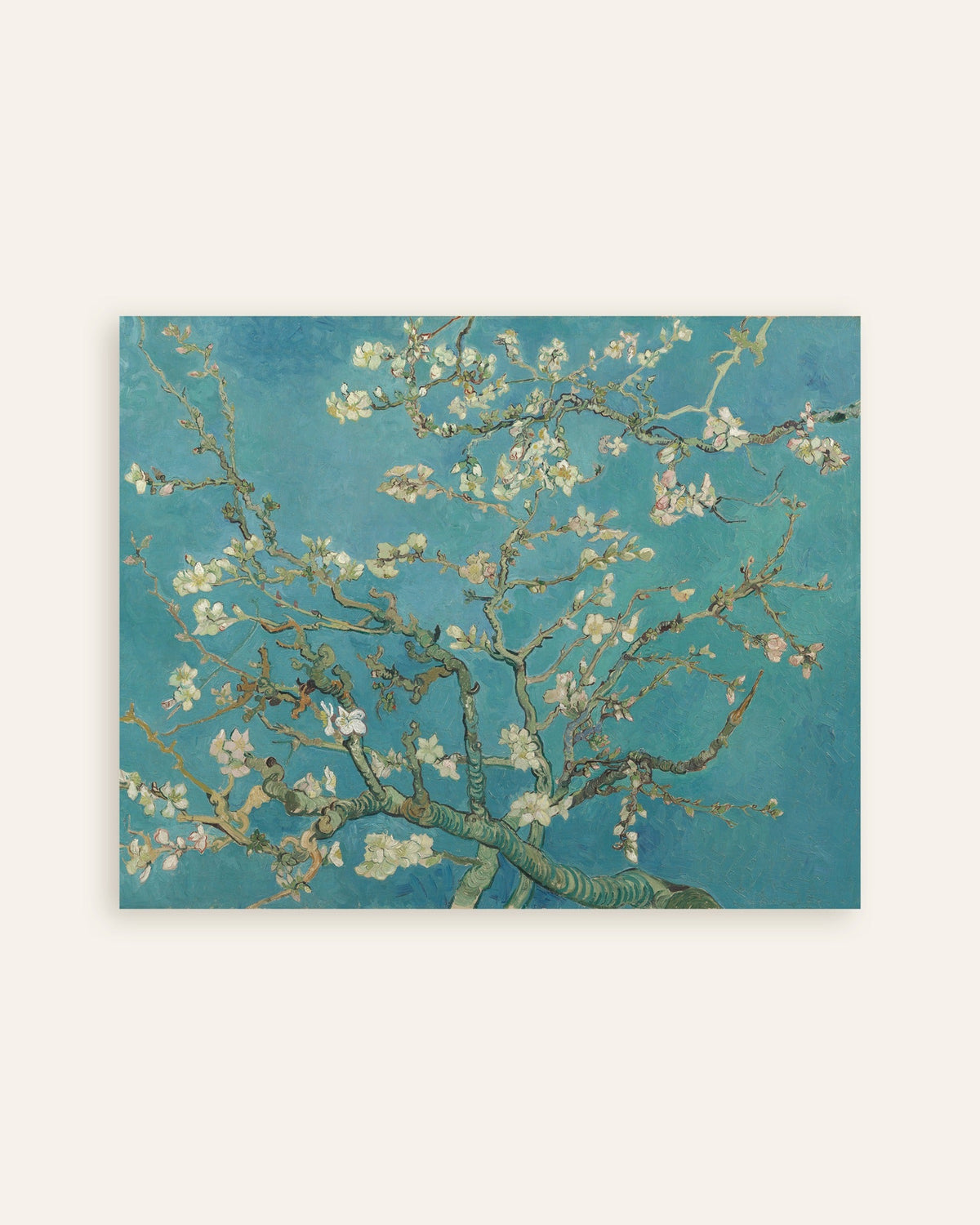 Poster de Amendoeira em flor (1890), de Vincent van Gogh, miniatura