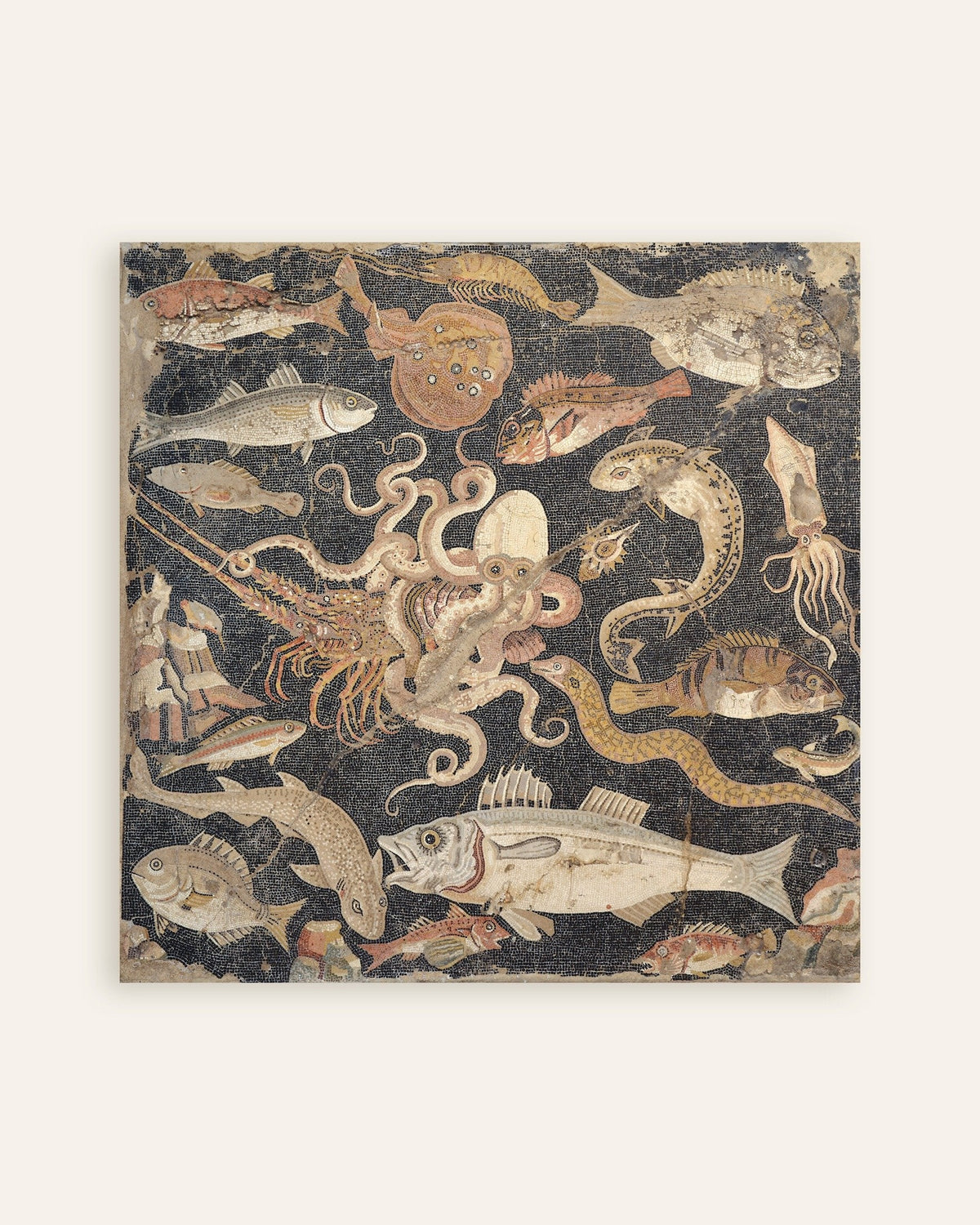 Poster do mosaico de peixes de Pompeia, vida marinha romana