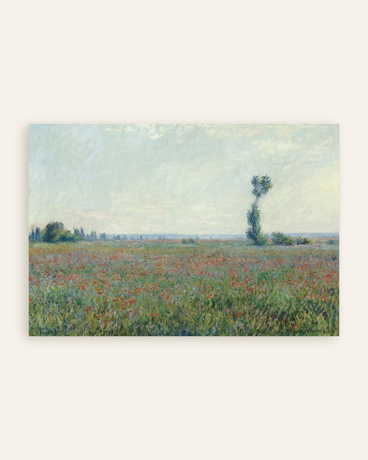 Poster Campo de Papoilas, de Claude Monet, miniatura
