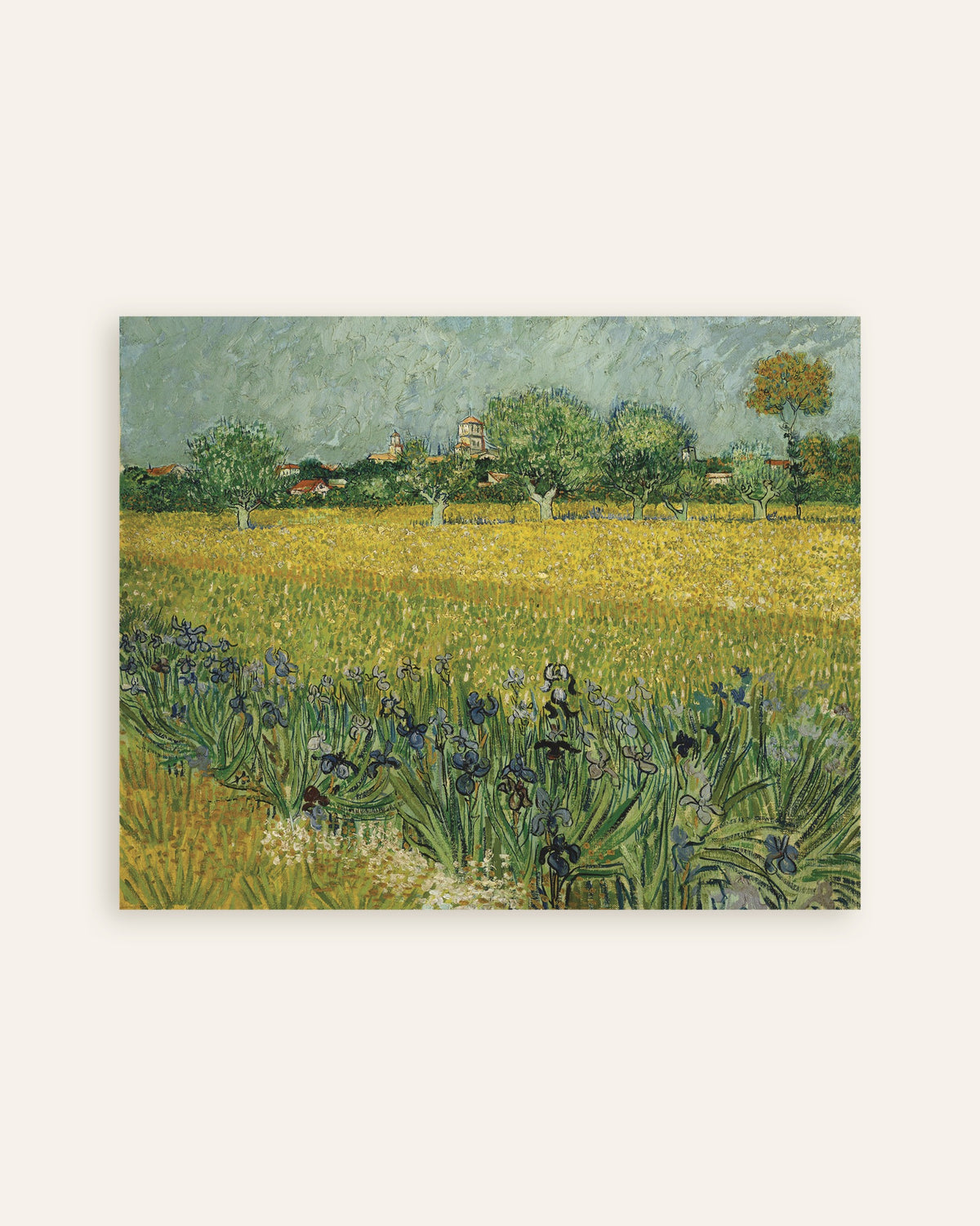 Poster de Campo com íris perto de Arles (1888), de Vincent van Gogh, miniatura