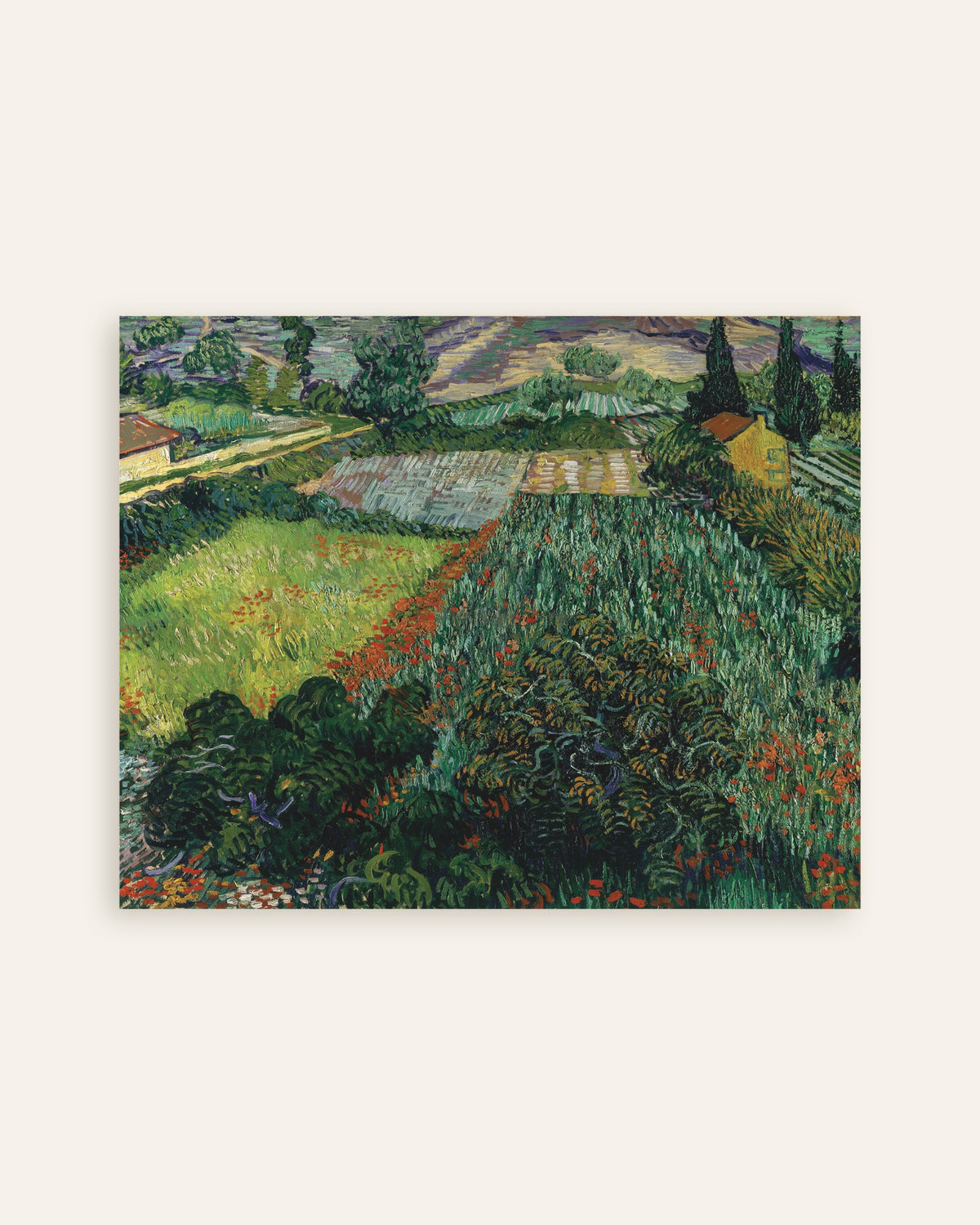 Poster de Campo com papoilas (1889), de Vincent van Gogh, em miniatura