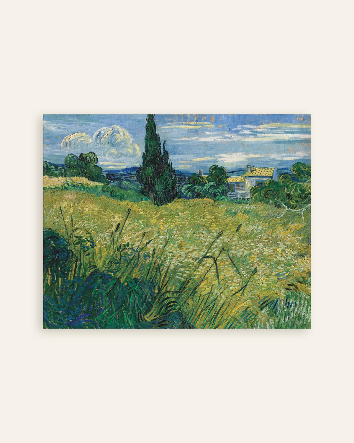 Poster de Campo de trigo verde com cipreste (1889), de Vincent van Gogh, miniatura