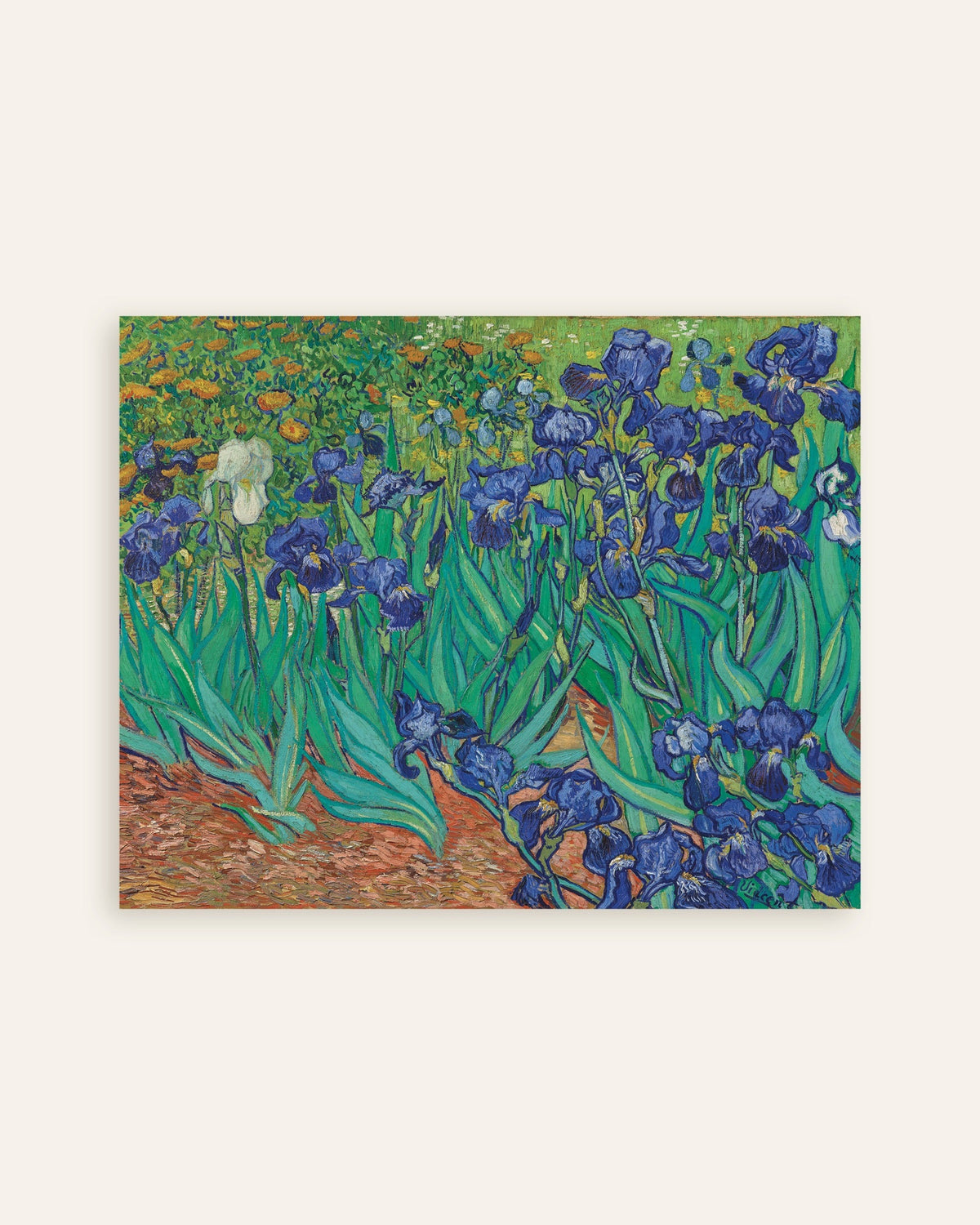 Poster de Íris (1889), de Vincent van Gogh, em miniatura