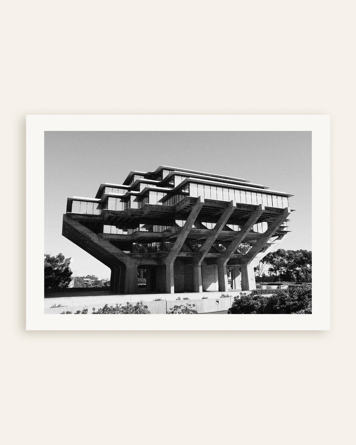 Poster «Biblioteca sobre pilares de betão», em miniatura
