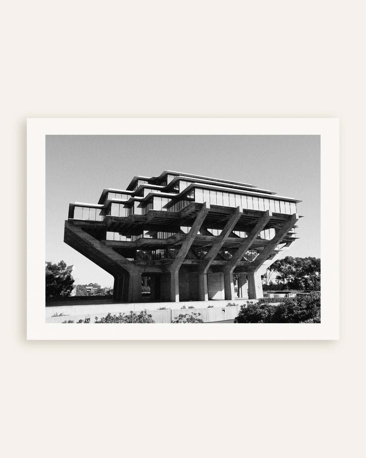 Poster «Biblioteca sobre pilares de betão», em miniatura