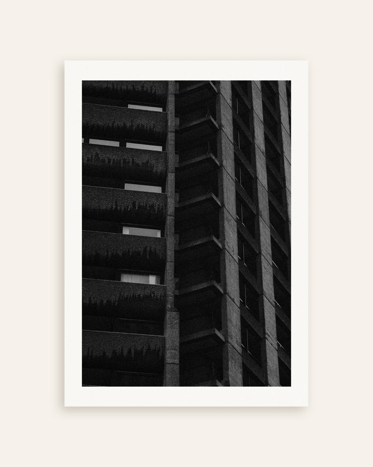 Poster «Fachada noturna com plantas suspensas», em miniatura