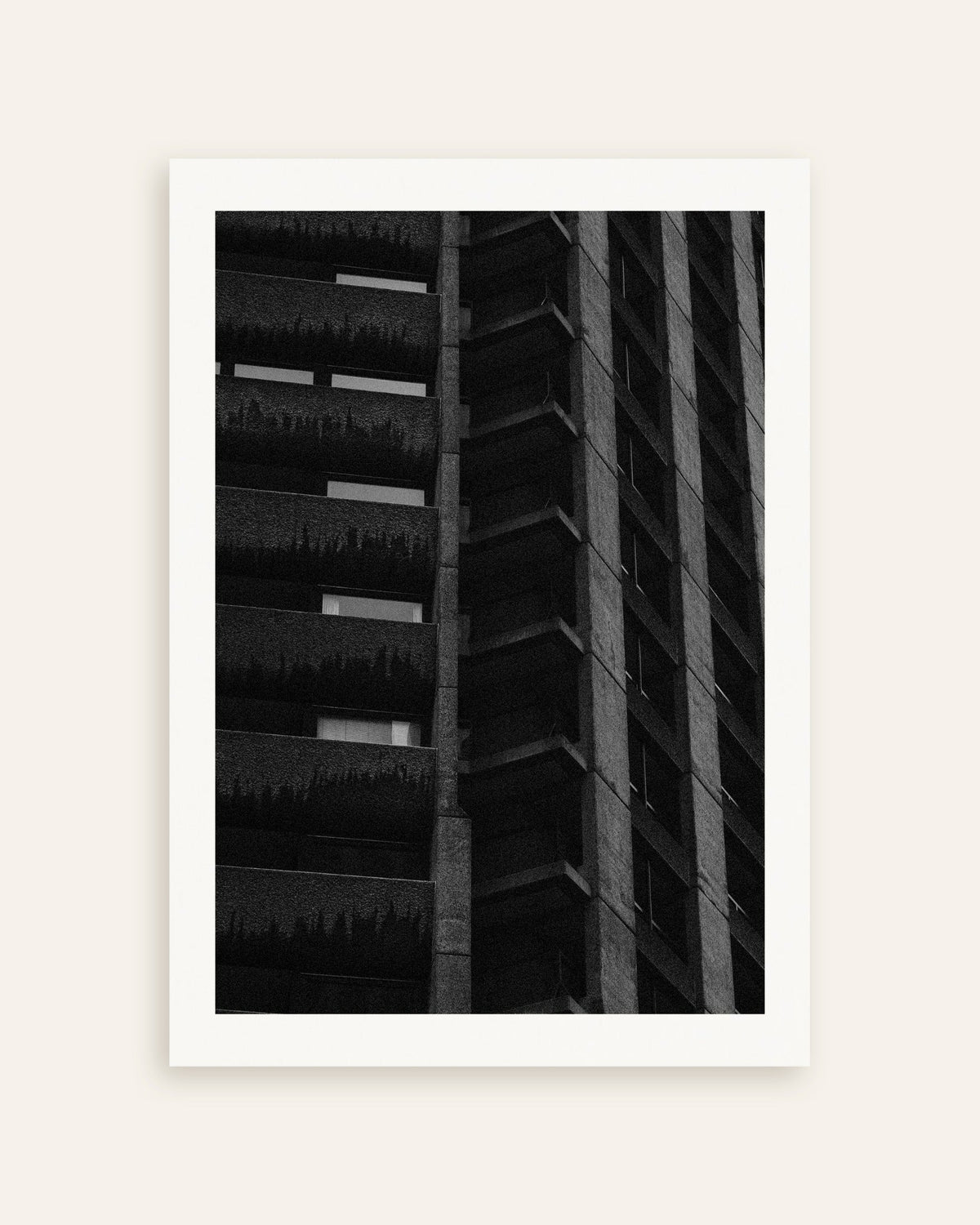 Poster «Fachada noturna com plantas suspensas», em miniatura