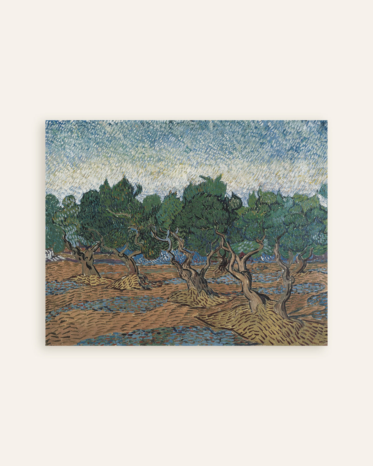 Miniatura do poster Olival (1889), de Vincent van Gogh