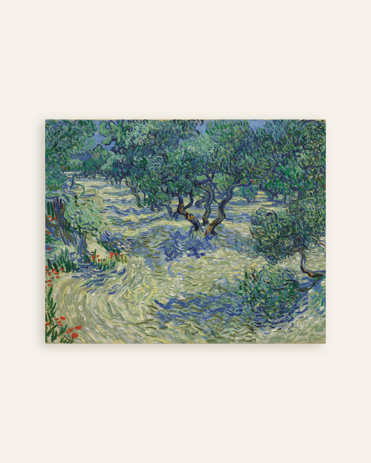 Poster de Olival (1889), de Vincent van Gogh, em miniatura