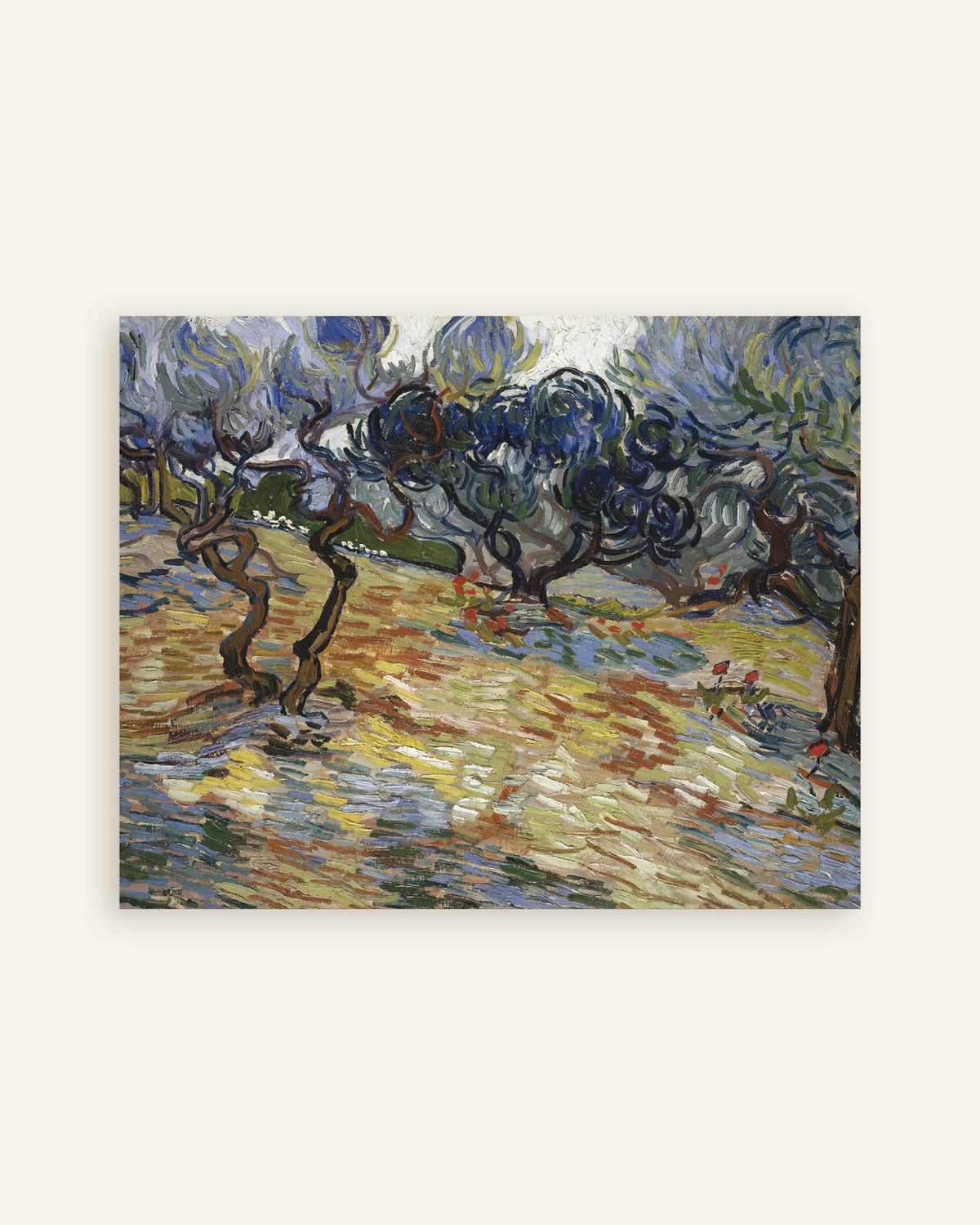 Poster Oliveiras (1889), de Vincent van Gogh, em miniatura