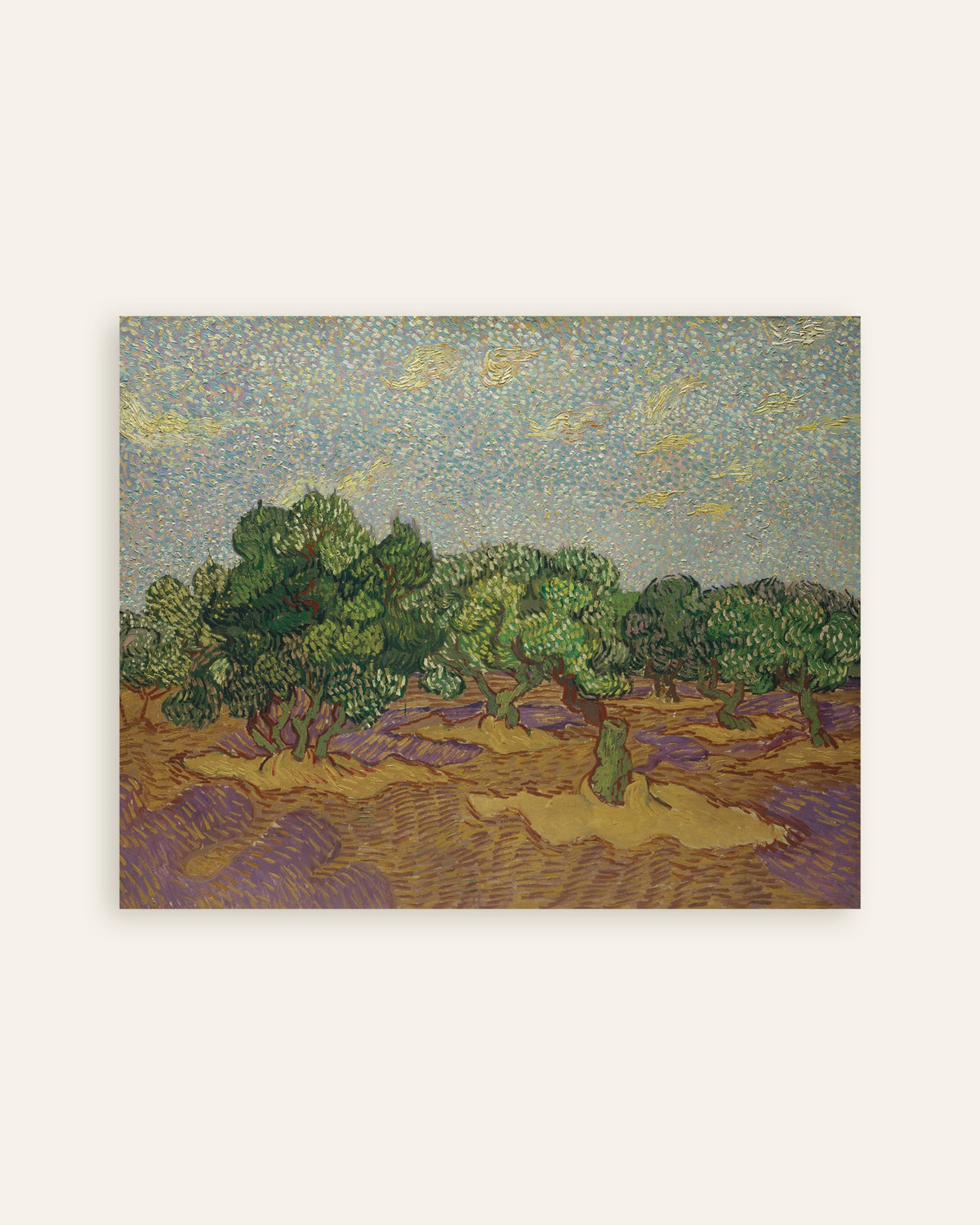 Poster de Oliveiras sob um Céu Pálido (1889), de Vincent van Gogh, miniatura