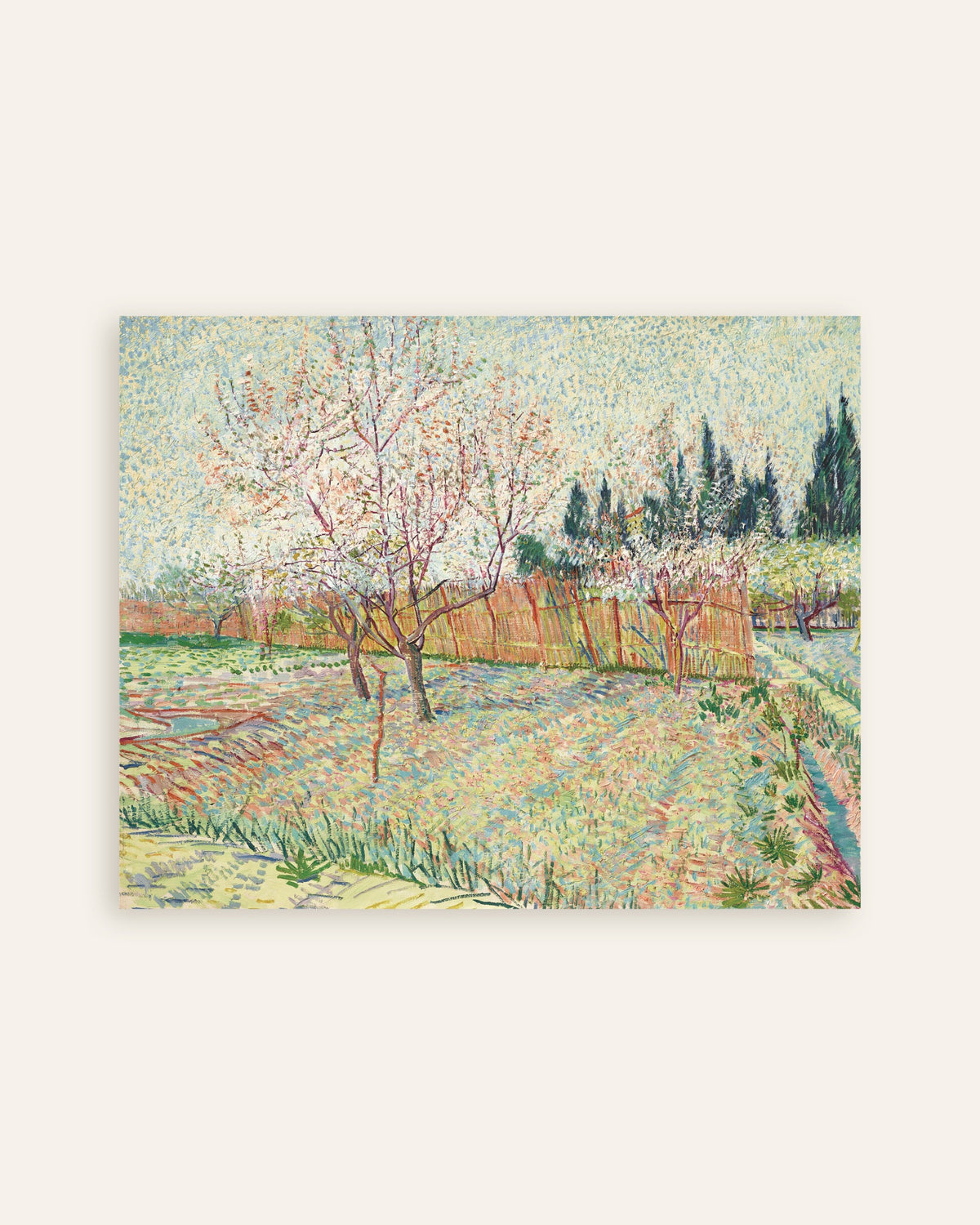 Poster de Pomar Delimitado por Ciprestes (1888), de Vincent van Gogh, em miniatura