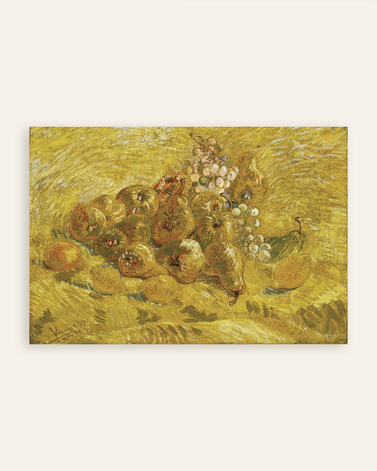 Poster de Marmelos, limões, peras e uvas (1887), de Vincent van Gogh, miniatura