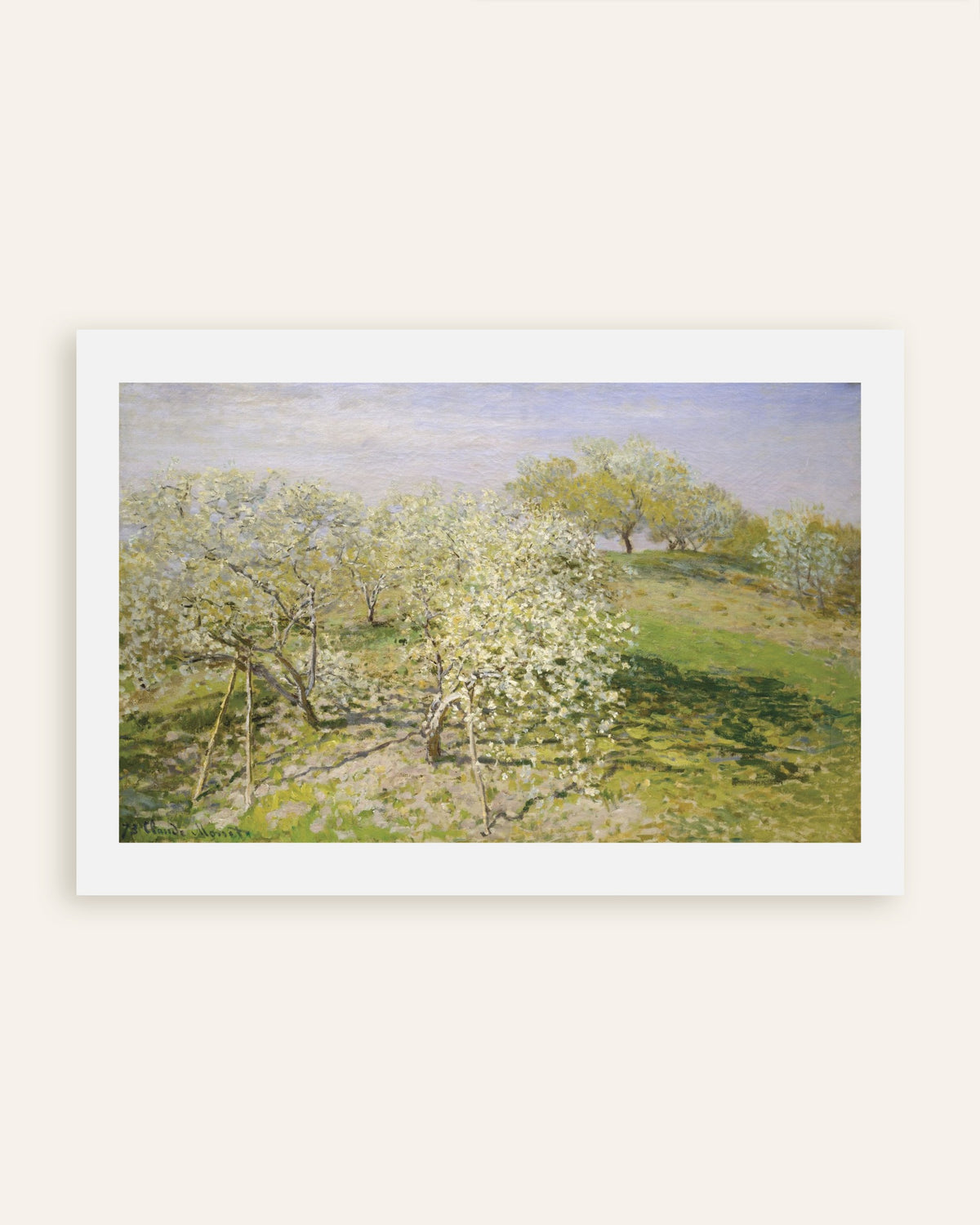 Poster Primavera, Árvores de Fruto em Flor (1873), de Claude Monet, miniatura