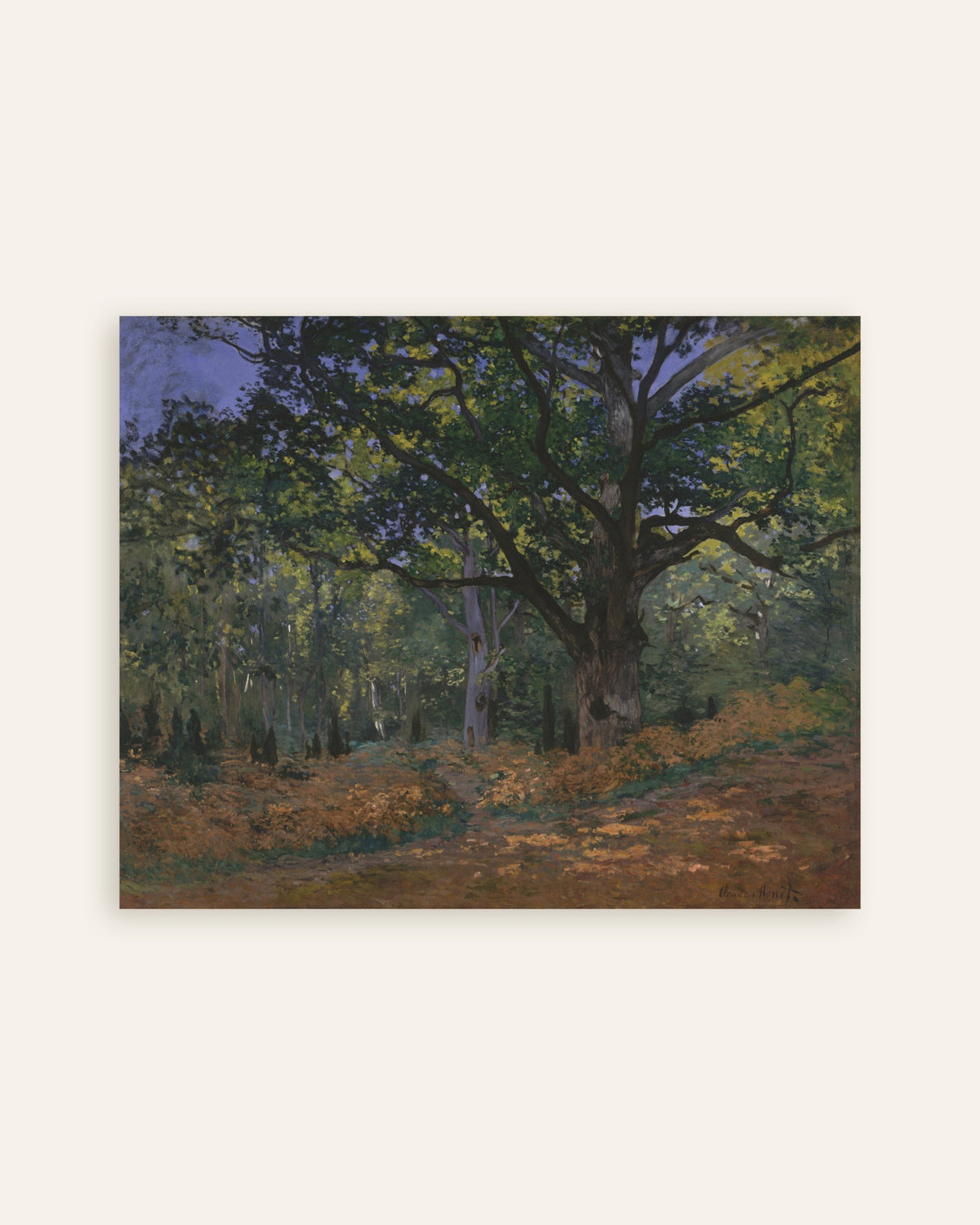 Poster O Carvalho de Bodmer, Floresta de Fontainebleau (1865), de Claude Monet, miniatura