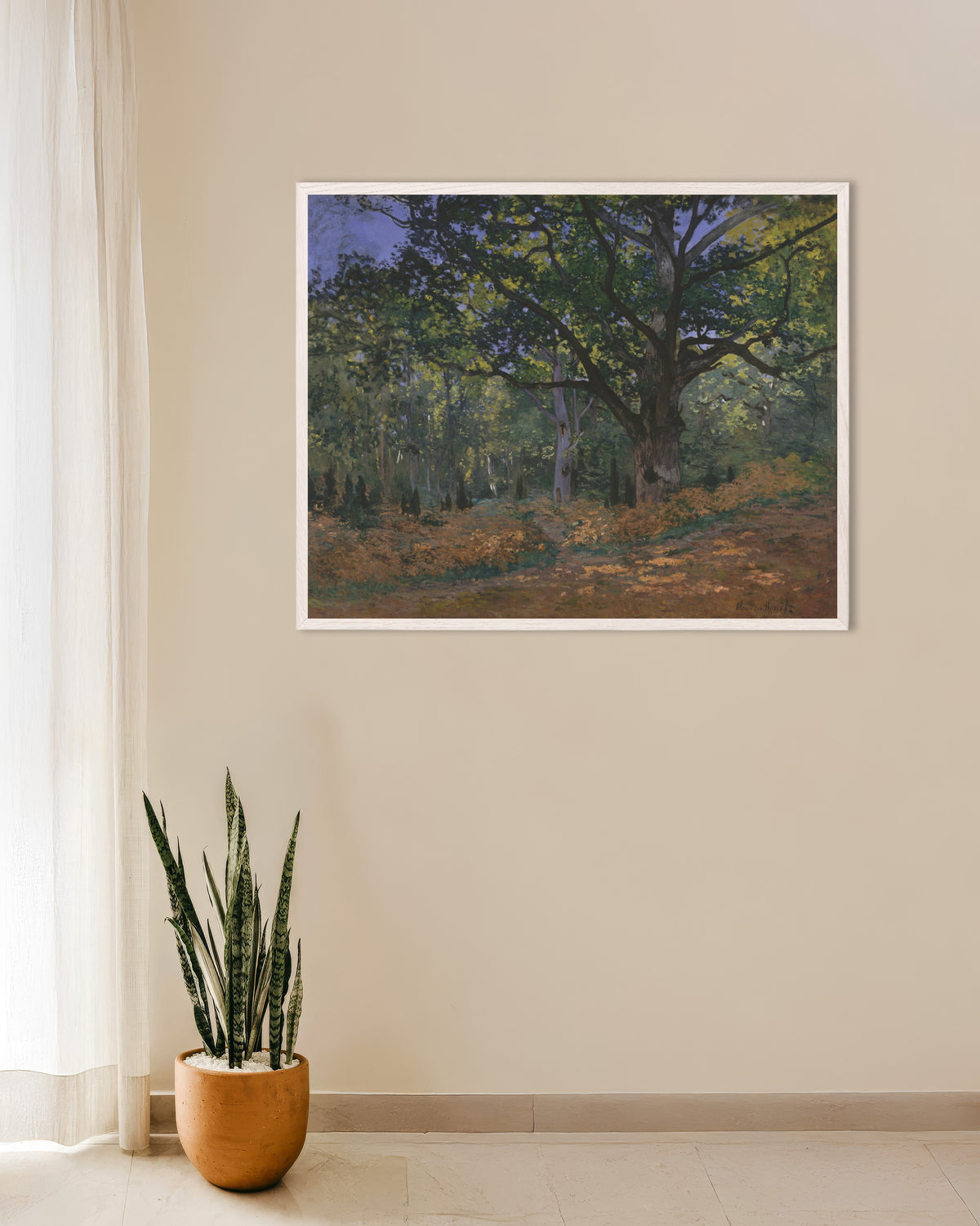 Poster O Carvalho de Bodmer, Floresta de Fontainebleau (1865), de Claude Monet, com moldura de madeira branca