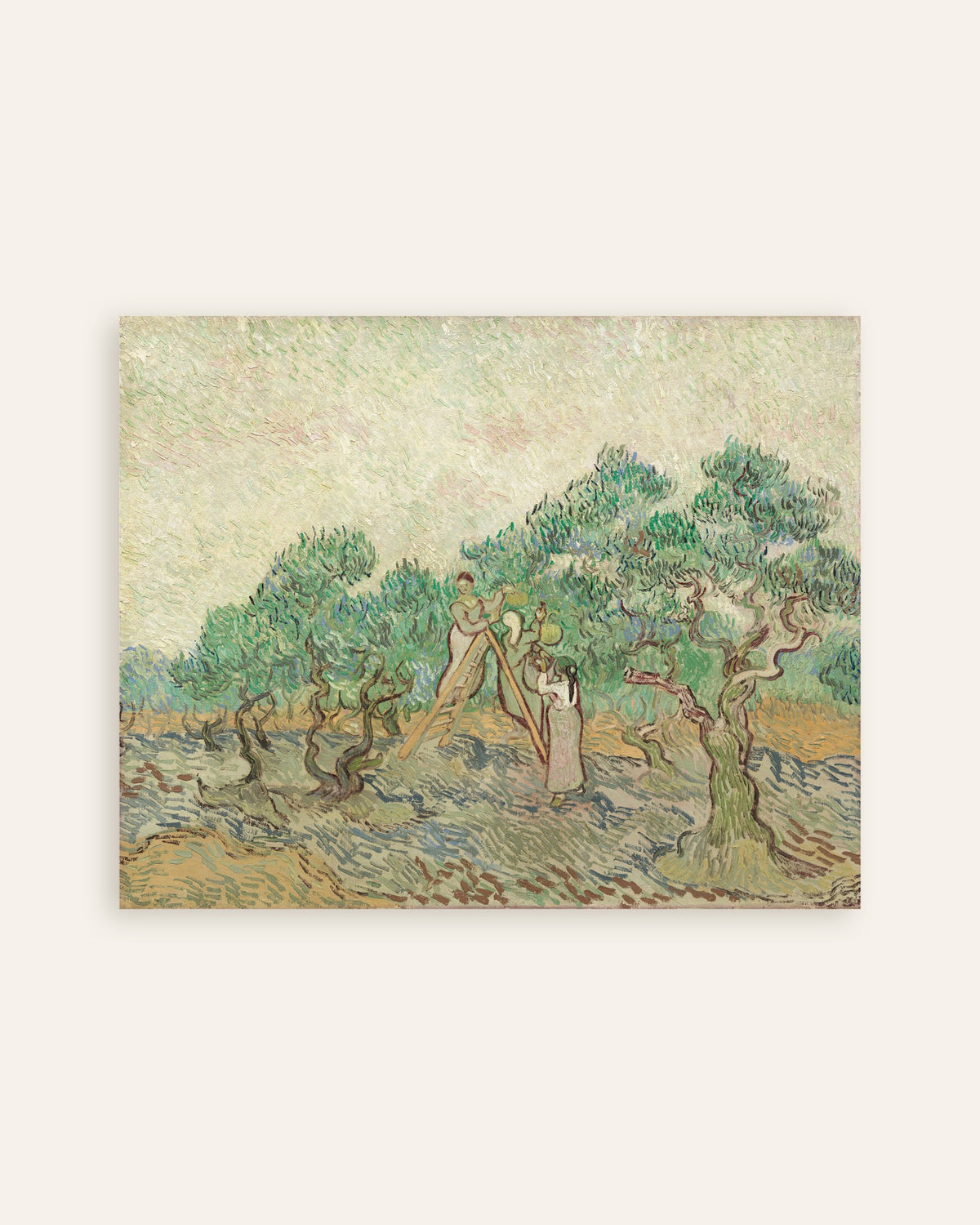Poster de O Olival (1889), de Vincent van Gogh, em miniatura