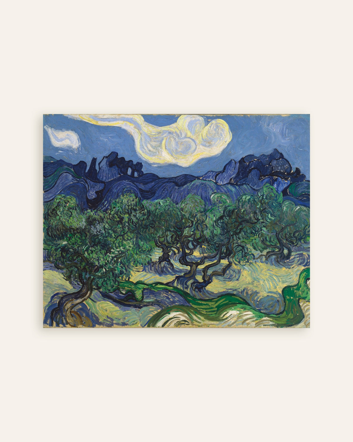 Poster de As Oliveiras (1889), de Vincent van Gogh, em miniatura