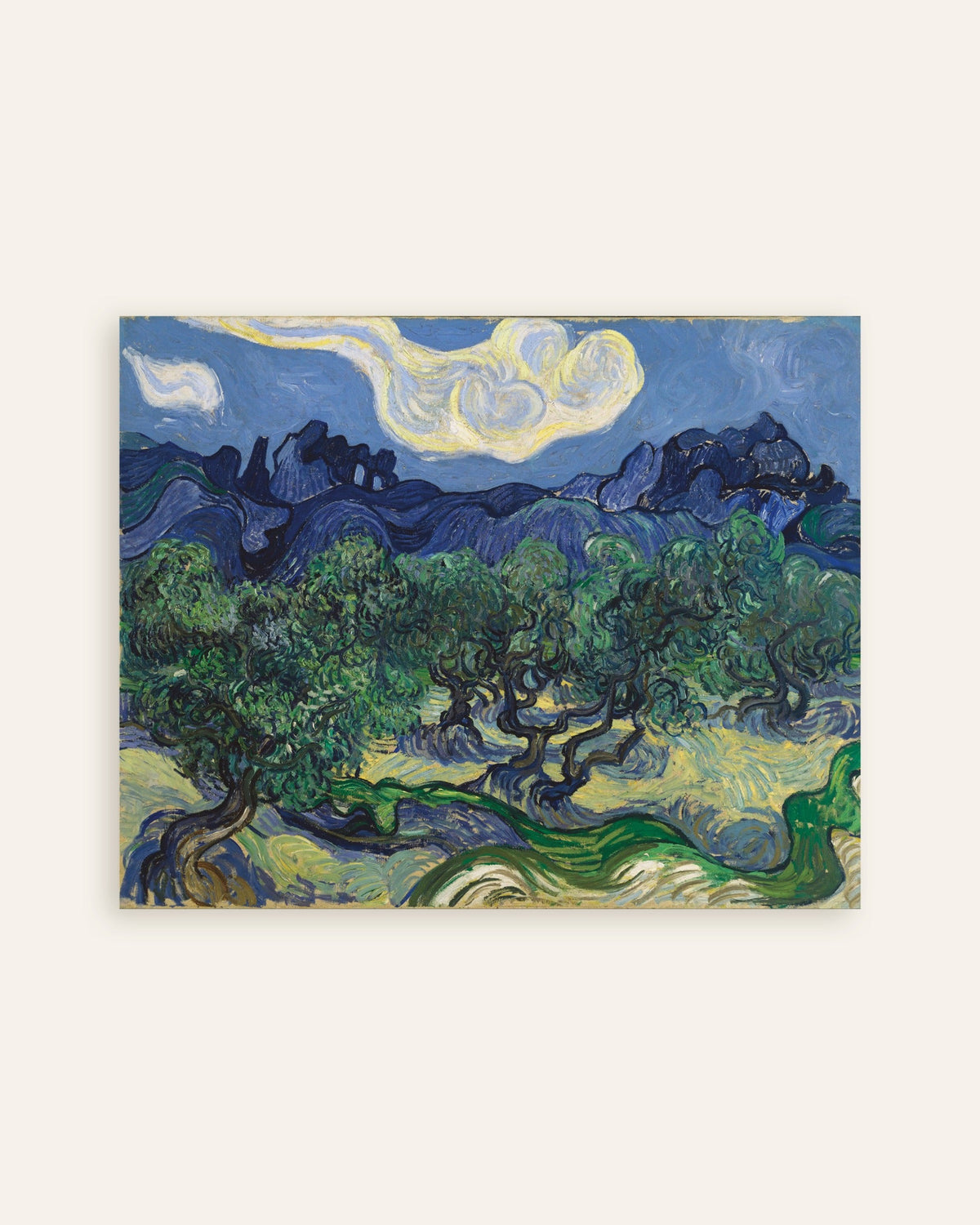 Poster de As Oliveiras (1889), de Vincent van Gogh, em miniatura