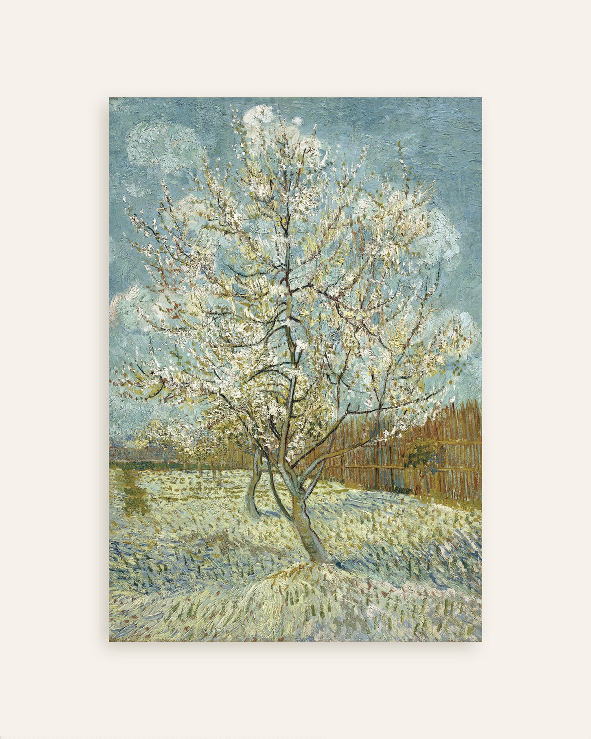 Poster de O Pessegueiro em Flor (1888), de Vincent van Gogh, em miniatura