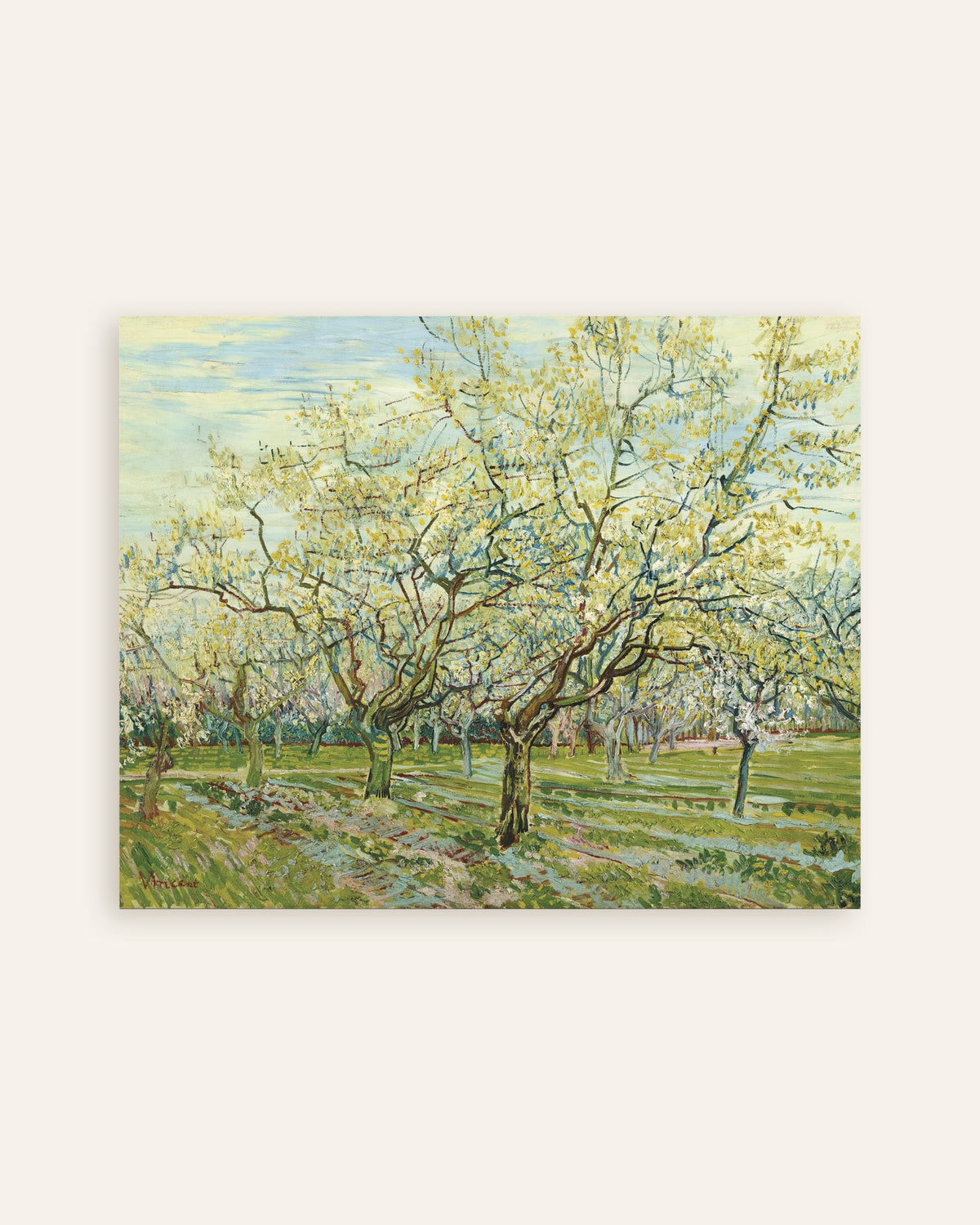 Poster de O Pomar Branco (1888), de Vincent van Gogh, em miniatura