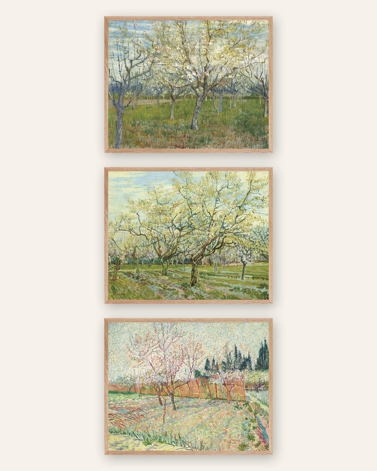 Posters de Van Gogh, pomares em flor, conjunto de 3: rosa, branco e com ciprestes, com molduras de carvalho natural