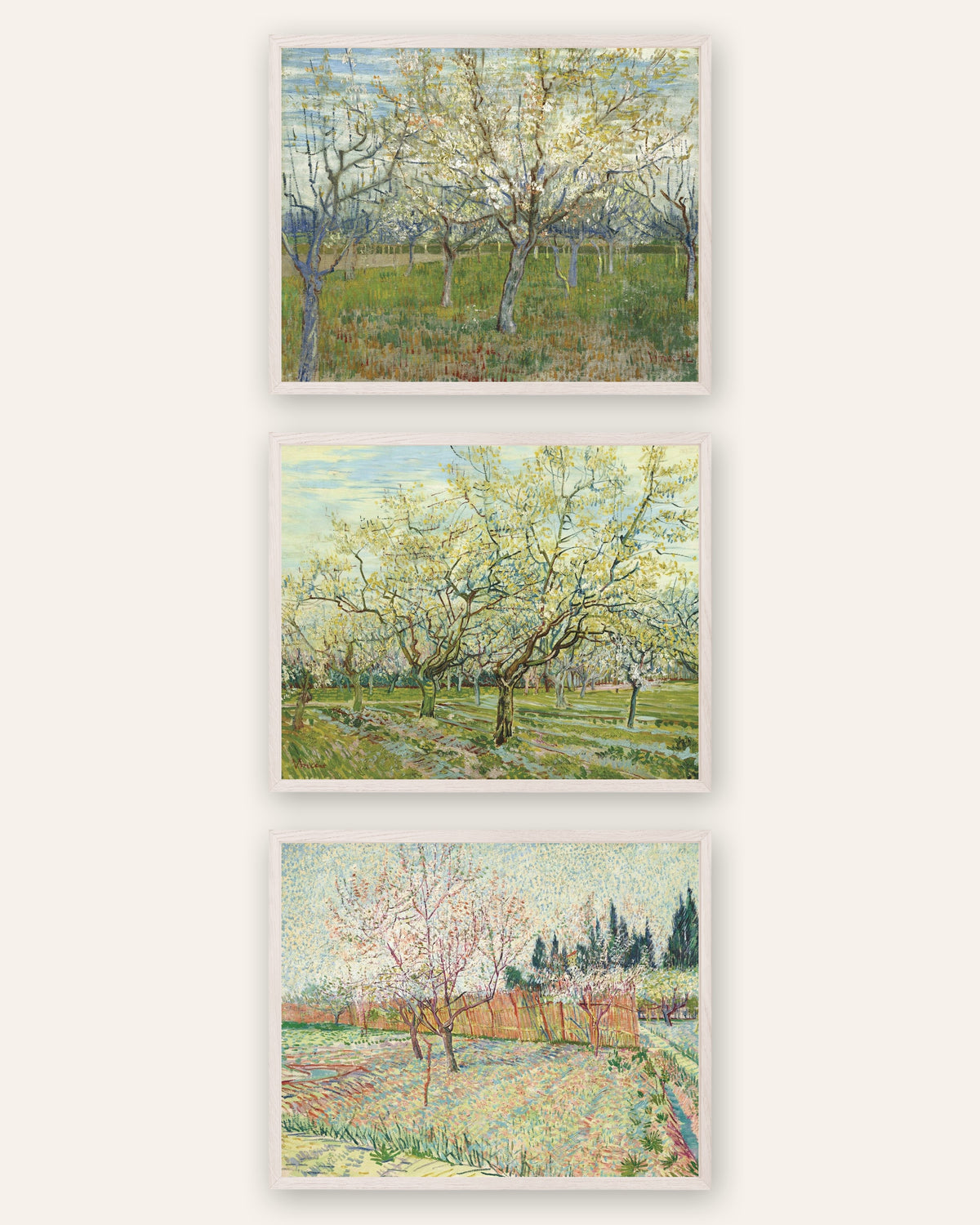 Posters de Van Gogh, pomares em flor, conjunto de 3: rosa, branco e com ciprestes, com molduras de carvalho branco