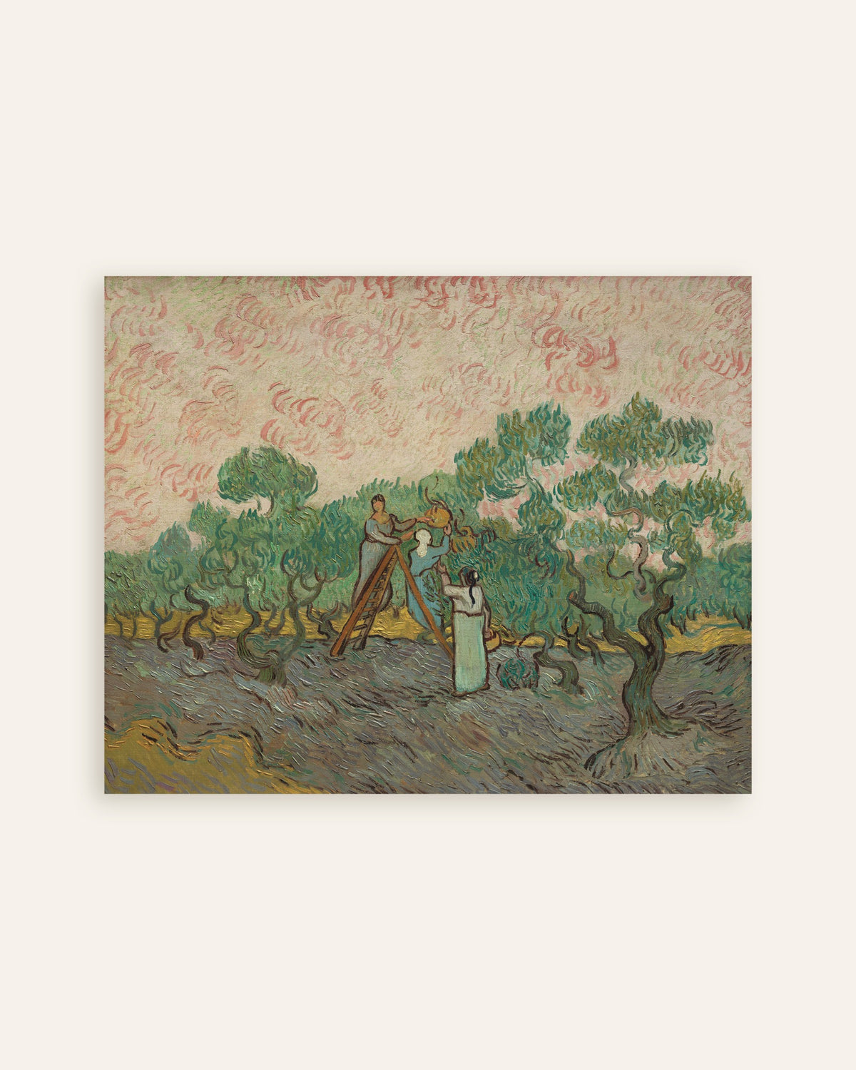 Poster de Mulheres a apanhar azeitonas (1889), de Vincent van Gogh, em miniatura